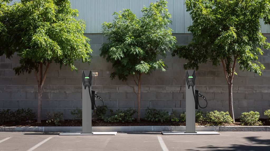 Rentabilidad del negocio de carga de vehículos eléctricos